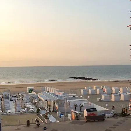 Studio Beche-de-mer